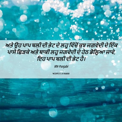 Picture 06 - ਅਹਬਾਰ 5:9 PANIRV - ਅਤੇ ਉਹ ਪਾਪ ਬਲੀ ਦੀ - Bible Verse Picture