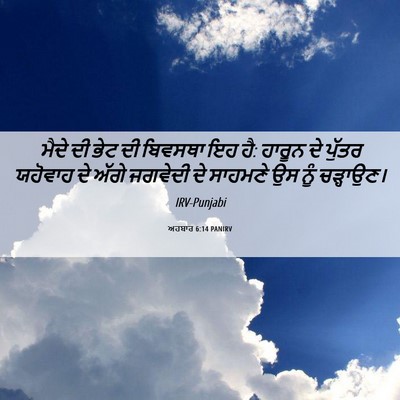 Picture 06 - ਅਹਬਾਰ 6:14 PANIRV - ਮੈਦੇ ਦੀ ਭੇਟ ਦੀ - Bible Verse Picture