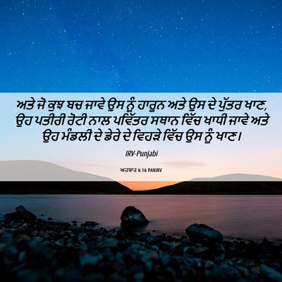 Picture 06 - ਅਹਬਾਰ 6:16 PANIRV - ਅਤੇ ਜੋ ਕੁਝ ਬਚ ਜਾਵੇ - Bible Verse Picture
