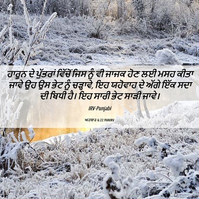 Picture 06 - ਅਹਬਾਰ 6:22 PANIRV - ਹਾਰੂਨ ਦੇ ਪੁੱਤਰਾਂ - Bible Verse Picture