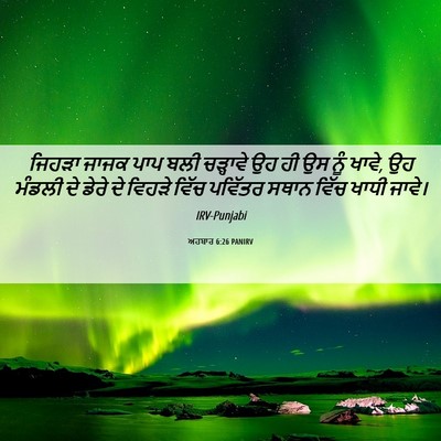 Picture 06 - ਅਹਬਾਰ 6:26 PANIRV - ਜਿਹੜਾ ਜਾਜਕ ਪਾਪ ਬਲੀ - Bible Verse Picture