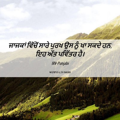 Picture 06 - ਅਹਬਾਰ 6:29 PANIRV - ਜਾਜਕਾਂ ਵਿੱਚੋਂ - Bible Verse Picture