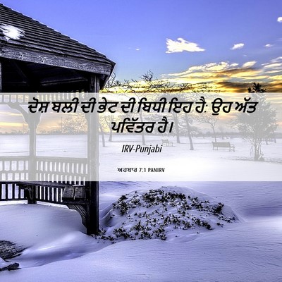Picture 06 - ਅਹਬਾਰ 7:1 PANIRV - ਦੋਸ਼ ਬਲੀ ਦੀ ਭੇਟ ਦੀ - Bible Verse Picture