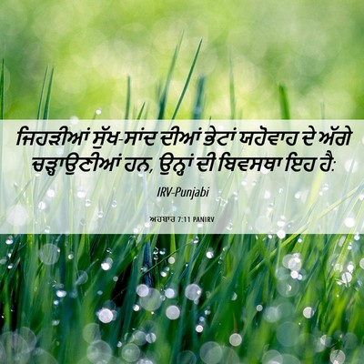 Picture 06 - ਅਹਬਾਰ 7:11 PANIRV - ਜਿਹੜੀਆਂ ਸੁੱਖ-ਸਾਂਦ - Bible Verse Picture