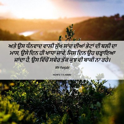 Picture 06 - ਅਹਬਾਰ 7:15 PANIRV - ਅਤੇ ਉਸ ਧੰਨਵਾਦ ਵਾਲੀ - Bible Verse Picture