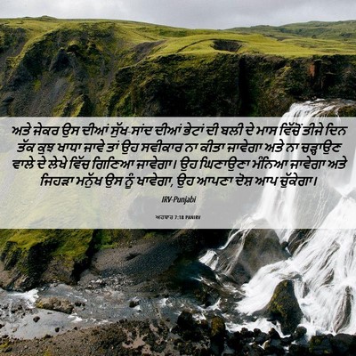 Picture 06 - ਅਹਬਾਰ 7:18 PANIRV - ਅਤੇ ਜੇਕਰ ਉਸ ਦੀਆਂ - Bible Verse Picture