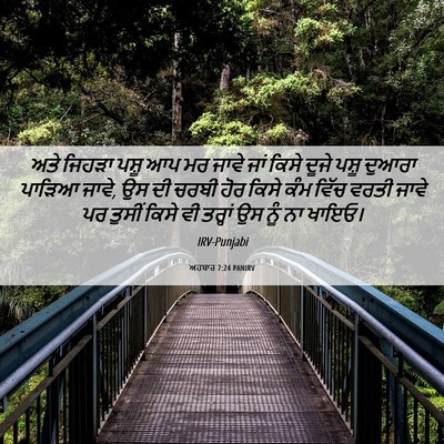 Picture 06 - ਅਹਬਾਰ 7:24 PANIRV - ਅਤੇ ਜਿਹੜਾ ਪਸ਼ੂ ਆਪ - Bible Verse Picture