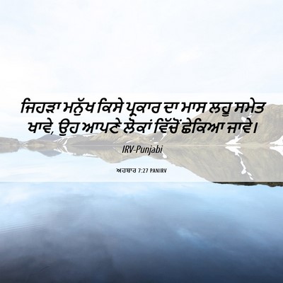 Picture 06 - ਅਹਬਾਰ 7:27 PANIRV - ਜਿਹੜਾ ਮਨੁੱਖ ਕਿਸੇ - Bible Verse Picture