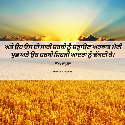 Picture 06 - ਅਹਬਾਰ 7:3 PANIRV - ਅਤੇ ਉਹ ਉਸ ਦੀ ਸਾਰੀ - Bible Verse Picture