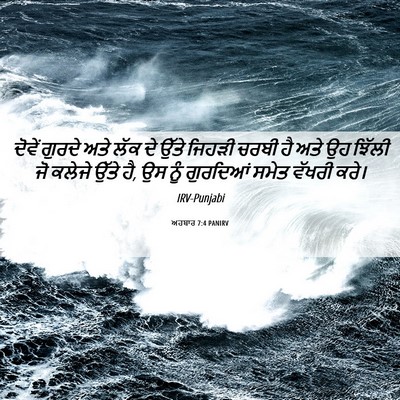 Picture 06 - ਅਹਬਾਰ 7:4 PANIRV - ਦੋਵੇਂ ਗੁਰਦੇ ਅਤੇ - Bible Verse Picture