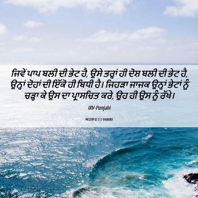 Picture 06 - ਅਹਬਾਰ 7:7 PANIRV - ਜਿਵੇਂ ਪਾਪ ਬਲੀ ਦੀ - Bible Verse Picture