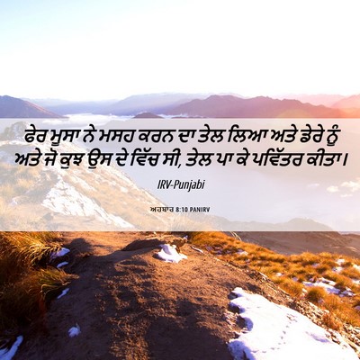 Picture 06 - ਅਹਬਾਰ 8:10 PANIRV - ਫੇਰ ਮੂਸਾ ਨੇ ਮਸਹ ਕਰਨ - Bible Verse Picture