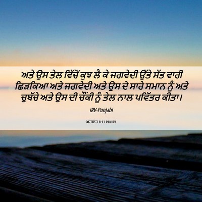 Picture 06 - ਅਹਬਾਰ 8:11 PANIRV - ਅਤੇ ਉਸ ਤੇਲ ਵਿੱਚੋਂ - Bible Verse Picture