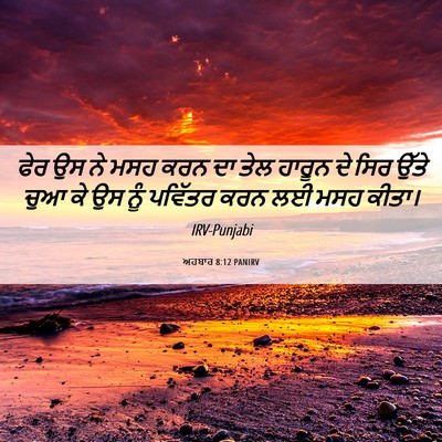 Picture 06 - ਅਹਬਾਰ 8:12 PANIRV - ਫੇਰ ਉਸ ਨੇ ਮਸਹ ਕਰਨ - Bible Verse Picture