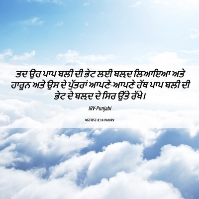 Picture 06 - ਅਹਬਾਰ 8:14 PANIRV - ਤਦ ਉਹ ਪਾਪ ਬਲੀ ਦੀ - Bible Verse Picture
