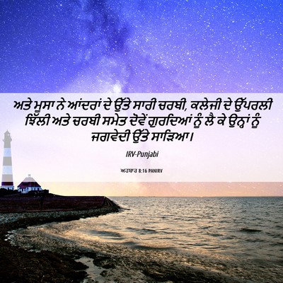 Picture 06 - ਅਹਬਾਰ 8:16 PANIRV - ਅਤੇ ਮੂਸਾ ਨੇ ਆਂਦਰਾਂ - Bible Verse Picture