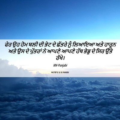 Picture 06 - ਅਹਬਾਰ 8:18 PANIRV - ਫੇਰ ਉਹ ਹੋਮ ਬਲੀ ਦੀ - Bible Verse Picture