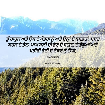 Picture 06 - ਅਹਬਾਰ 8:2 PANIRV - ਤੂੰ ਹਾਰੂਨ ਅਤੇ ਉਸ ਦੇ - Bible Verse Picture