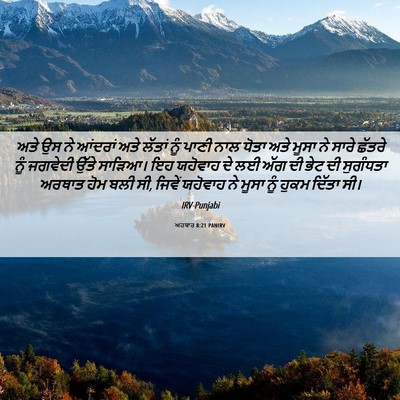 Picture 06 - ਅਹਬਾਰ 8:21 PANIRV - ਅਤੇ ਉਸ ਨੇ ਆਂਦਰਾਂ - Bible Verse Picture