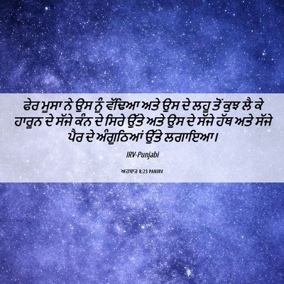 Picture 06 - ਅਹਬਾਰ 8:23 PANIRV - ਫੇਰ ਮੂਸਾ ਨੇ ਉਸ ਨੂੰ - Bible Verse Picture