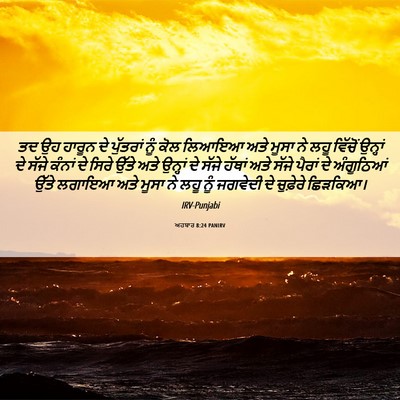 Picture 06 - ਅਹਬਾਰ 8:24 PANIRV - ਤਦ ਉਹ ਹਾਰੂਨ ਦੇ - Bible Verse Picture