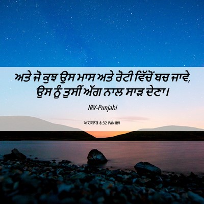 Picture 06 - ਅਹਬਾਰ 8:32 PANIRV - ਅਤੇ ਜੋ ਕੁਝ ਉਸ ਮਾਸ - Bible Verse Picture