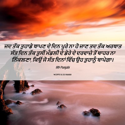 Picture 06 - ਅਹਬਾਰ 8:33 PANIRV - ਜਦ ਤੱਕ ਤੁਹਾਡੇ ਥਾਪਣ - Bible Verse Picture