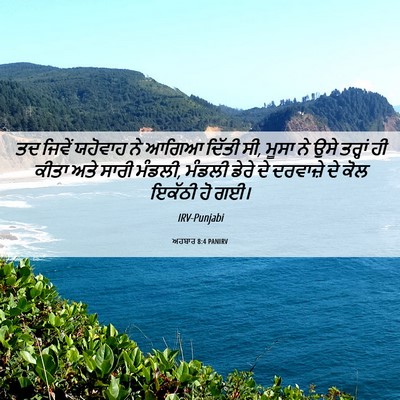 Picture 06 - ਅਹਬਾਰ 8:4 PANIRV - ਤਦ ਜਿਵੇਂ ਯਹੋਵਾਹ ਨੇ - Bible Verse Picture
