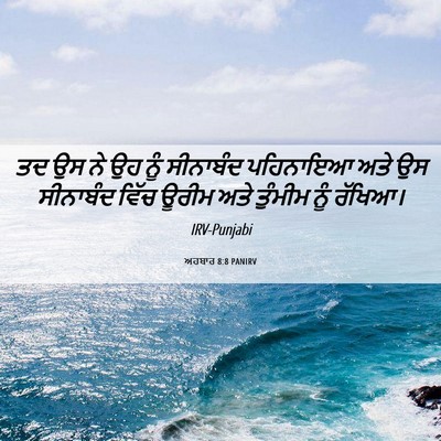 Picture 06 - ਅਹਬਾਰ 8:8 PANIRV - ਤਦ ਉਸ ਨੇ ਉਹ ਨੂੰ - Bible Verse Picture