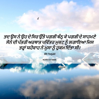 Picture 06 - ਅਹਬਾਰ 8:9 PANIRV - ਤਦ ਉਸ ਨੇ ਉਹ ਦੇ ਸਿਰ - Bible Verse Picture