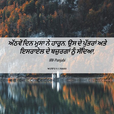 Picture 06 - ਅਹਬਾਰ 9:1 PANIRV - ਅੱਠਵੇਂ ਦਿਨ ਮੂਸਾ ਨੇ - Bible Verse Picture