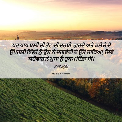 Picture 06 - ਅਹਬਾਰ 9:10 PANIRV - ਪਰ ਪਾਪ ਬਲੀ ਦੀ ਭੇਟ - Bible Verse Picture