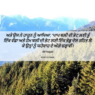 Picture 06 - ਅਹਬਾਰ 9:2 PANIRV - ਅਤੇ ਉਸ ਨੇ ਹਾਰੂਨ ਨੂੰ - Bible Verse Picture