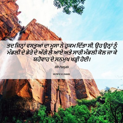 Picture 06 - ਅਹਬਾਰ 9:5 PANIRV - ਤਦ ਜਿਨ੍ਹਾਂ ਵਸਤੂਆਂ - Bible Verse Picture