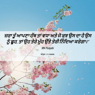 Picture 06 - ਅੱਯੂਬ 1:11 PANIRV - ਜ਼ਰਾ ਤੂੰ ਆਪਣਾ ਹੱਥ - Bible Verse Picture