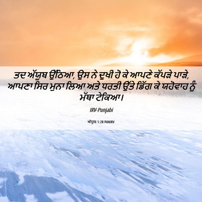 Picture 06 - ਅੱਯੂਬ 1:20 PANIRV - ਤਦ ਅੱਯੂਬ ਉੱਠਿਆ, ਉਸ - Bible Verse Picture