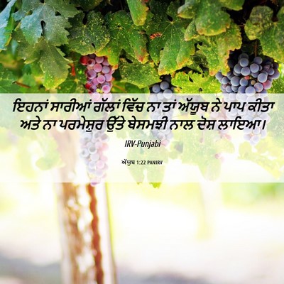 Picture 06 - ਅੱਯੂਬ 1:22 PANIRV - ਇਹਨਾਂ ਸਾਰੀਆਂ - Bible Verse Picture