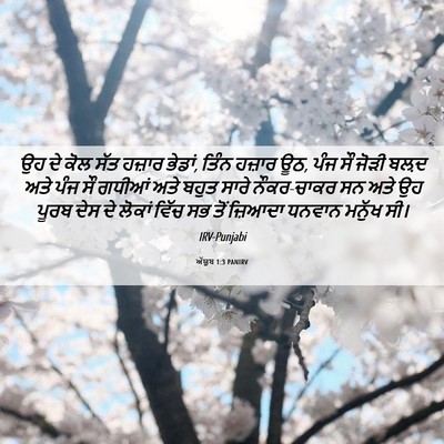 Picture 06 - ਅੱਯੂਬ 1:3 PANIRV - ਉਹ ਦੇ ਕੋਲ ਸੱਤ ਹਜ਼ਾਰ - Bible Verse Picture