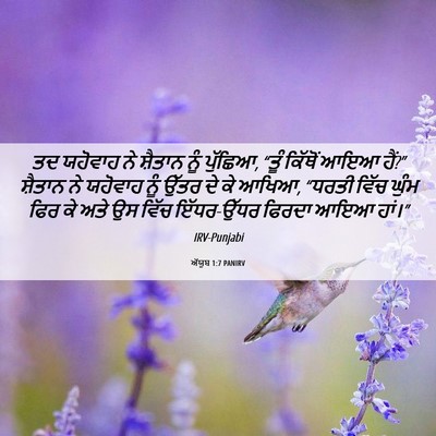 Picture 06 - ਅੱਯੂਬ 1:7 PANIRV - ਤਦ ਯਹੋਵਾਹ ਨੇ - Bible Verse Picture