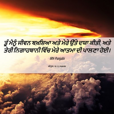 Picture 06 - ਅੱਯੂਬ 10:12 PANIRV - ਤੂੰ ਮੈਨੂੰ ਜੀਵਨ - Bible Verse Picture