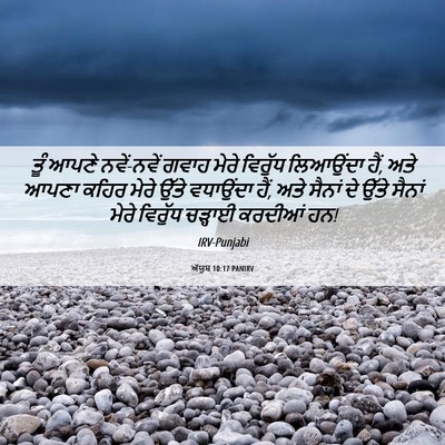 Picture 06 - ਅੱਯੂਬ 10:17 PANIRV - ਤੂੰ ਆਪਣੇ ਨਵੇਂ-ਨਵੇਂ - Bible Verse Picture