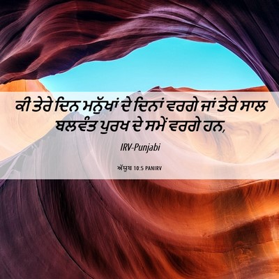 Picture 06 - ਅੱਯੂਬ 10:5 PANIRV - ਕੀ ਤੇਰੇ ਦਿਨ - Bible Verse Picture