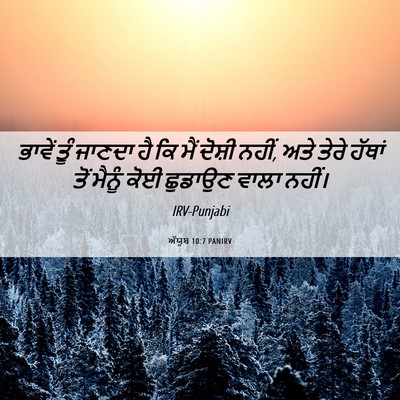 Picture 06 - ਅੱਯੂਬ 10:7 PANIRV - ਭਾਵੇਂ ਤੂੰ ਜਾਣਦਾ ਹੈ - Bible Verse Picture