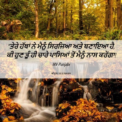 Picture 06 - ਅੱਯੂਬ 10:8 PANIRV - “ਤੇਰੇ ਹੱਥਾਂ ਨੇ - Bible Verse Picture