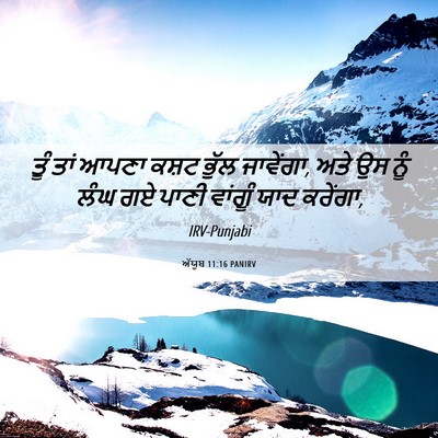 Picture 06 - ਅੱਯੂਬ 11:16 PANIRV - ਤੂੰ ਤਾਂ ਆਪਣਾ ਕਸ਼ਟ - Bible Verse Picture