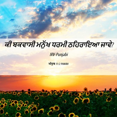 Picture 06 - ਅੱਯੂਬ 11:2 PANIRV - ਕੀ ਬਕਵਾਸੀ ਮਨੁੱਖ - Bible Verse Picture