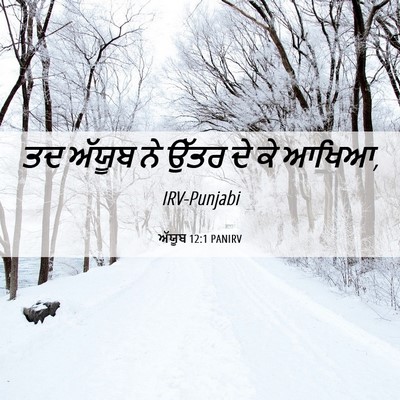 Picture 06 - ਅੱਯੂਬ 12:1 PANIRV - ਤਦ ਅੱਯੂਬ ਨੇ ਉੱਤਰ ਦੇ - Bible Verse Picture