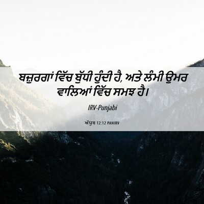 Picture 06 - ਅੱਯੂਬ 12:12 PANIRV - ਬਜ਼ੁਰਗਾਂ ਵਿੱਚ - Bible Verse Picture