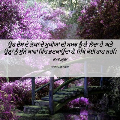 Picture 06 - ਅੱਯੂਬ 12:24 PANIRV - ਉਹ ਦੇਸ ਦੇ ਲੋਕਾਂ ਦੇ - Bible Verse Picture