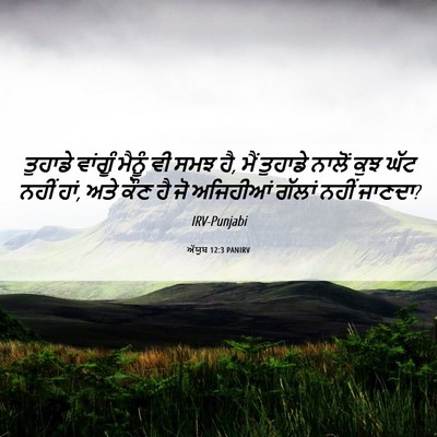 Picture 06 - ਅੱਯੂਬ 12:3 PANIRV - ਤੁਹਾਡੇ ਵਾਂਗੂੰ - Bible Verse Picture